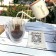 QR coffee 低咖啡因濾掛咖啡